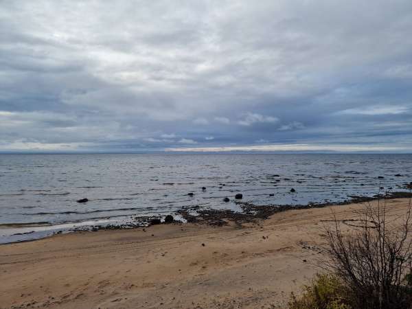 Онежское озеро пополняется молодью сига